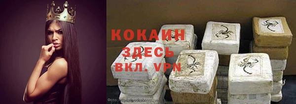 тгк Володарск