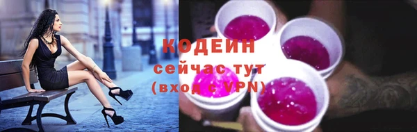 тгк Володарск