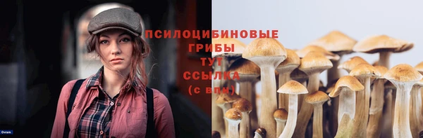 ECSTASY Волоколамск